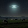 UFOと牛の元ネタは？宇宙人によるキャトルミューティレーションとは何か影響など解説