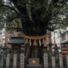 板橋の縁切り榎は呪い？東京最強のスポットで悪縁を切る方法と事情